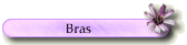 Bras